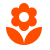Minimalist orange blossom illustration