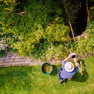 Person planting in green yard