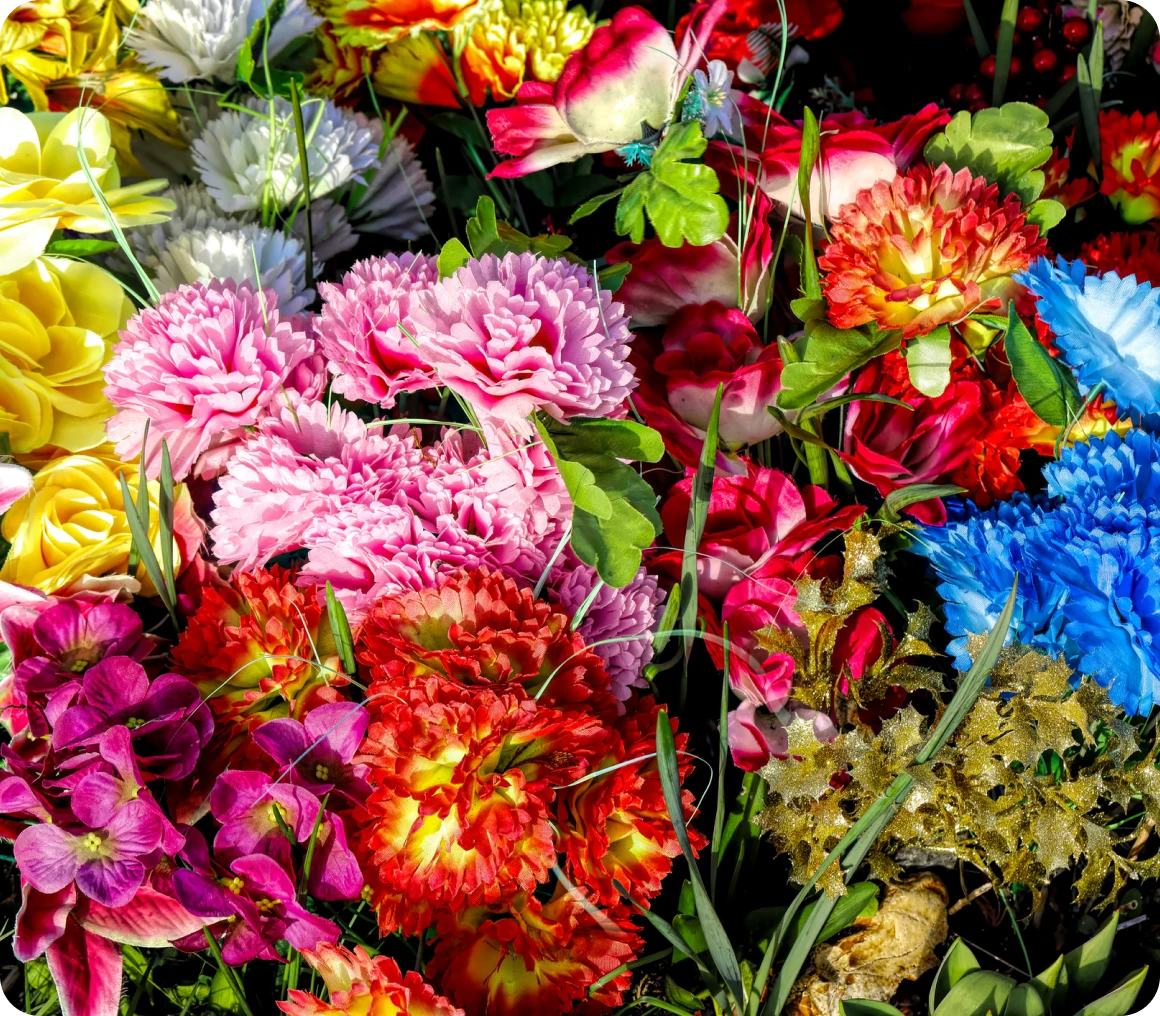 Colorful assortment of vibrant flowers
