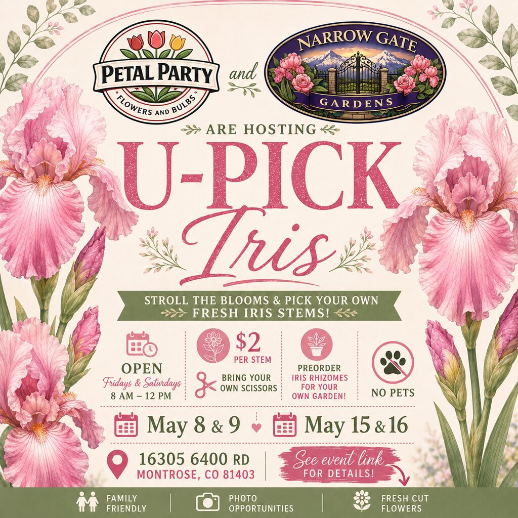 U-pick iris event poster with pink irises