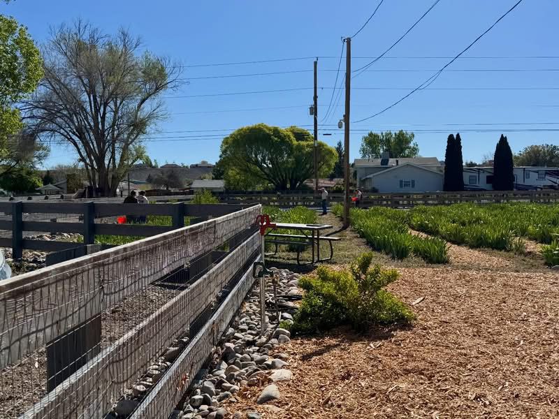 Community garden with picnic table and fence